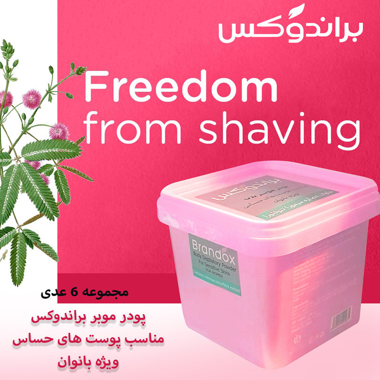 پودر موبر براندوکس مدل تنوفورا وزن 300 گرم مجموعه 6 عددی
