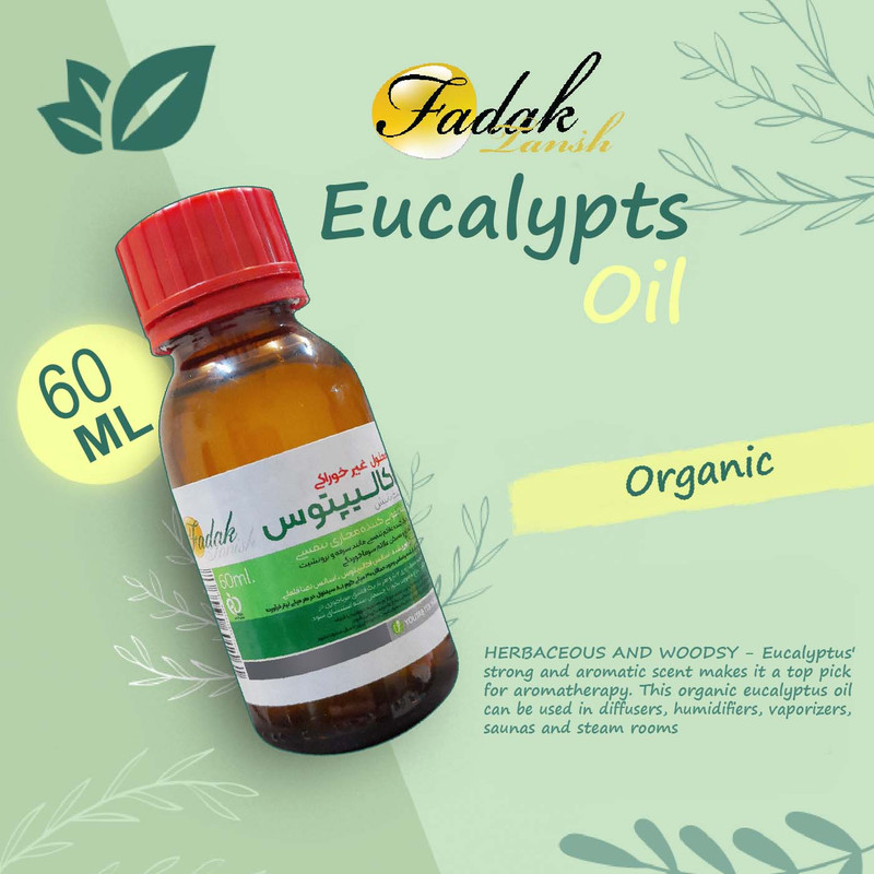 محلول بخور فدک تانیش مدل Eucalyptus60 حجم 60 میلی لیتر مجموعه 24 عددی