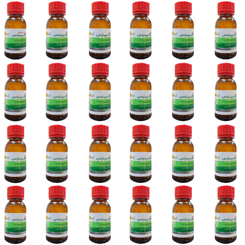 محلول بخور فدک تانیش مدل Eucalyptus60 حجم 60 میلی لیتر مجموعه 24 عددی