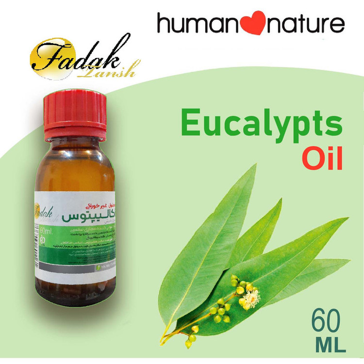 محلول بخور فدک تانیش مدل Eucalyptus60 حجم 60 میلی لیتر مجموعه 24 عددی