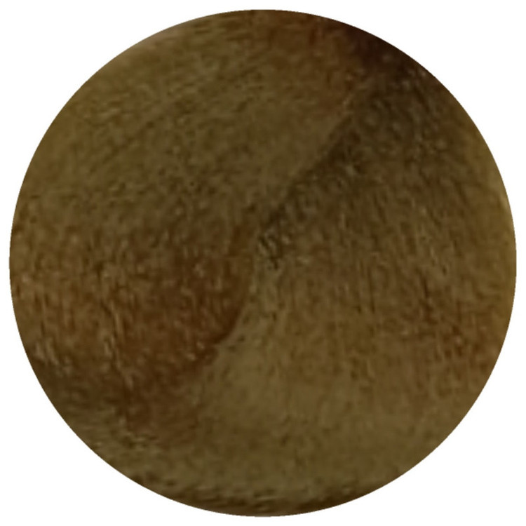 رنگ مو توژور سری Beige شماره 8.13 حجم 100 میلی لیتر رنگ بلوند طلایی خاکستری روشن