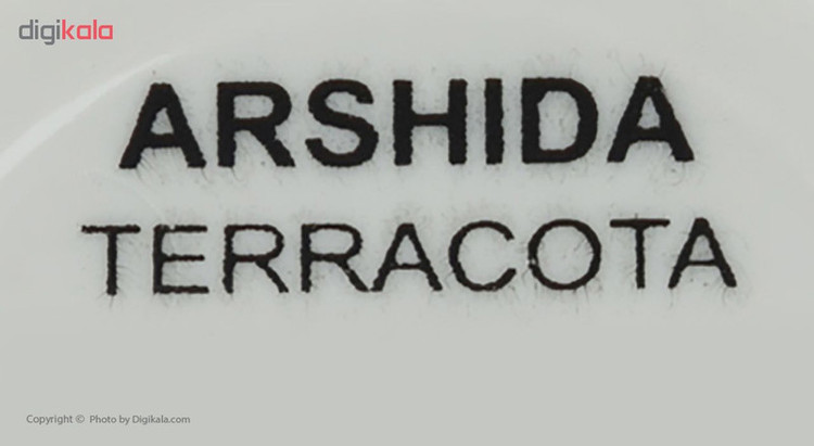 رژ گونه آرشیدا سری Terracotta شماره 304
