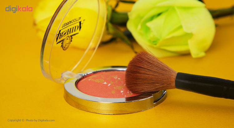 رژ گونه آرشیدا سری Terracotta شماره 304